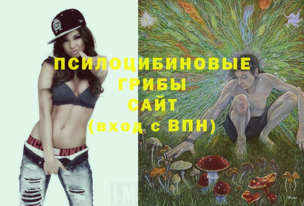 амфетамин Новодвинск