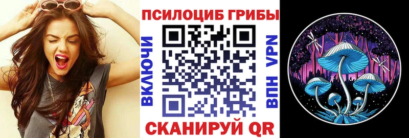 Псилоцибиновые грибы Cubensis  что такое   Североморск 